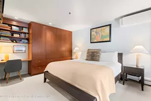 610 S West End St, Aspen, CO 81611 - Photo 22