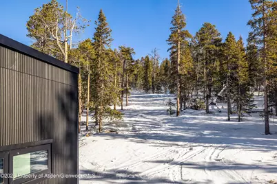 316 N Fuller Placer Road, Breckenridge, CO 80424 - Photo 4