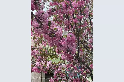 2308 Bennett Court, Glenwood Springs, CO 81601 - Photo 22