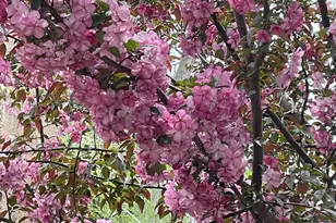 2308 Bennett Ct, Glenwood Springs, CO 81601 - Photo 22