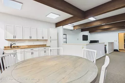 215 S Monarch Street #G101, Aspen, CO 81611 - Photo 8