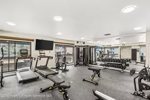 1039 E Cooper Ave, Aspen, CO 81611 - Photo 20