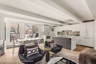 1039 E Cooper Avenue #20, Aspen, CO 81611 - Photo 4