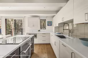 1039 E Cooper Ave, Aspen, CO 81611 - Photo 6