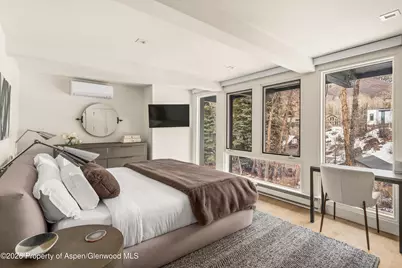 1039 E Cooper Avenue #20, Aspen, CO 81611 - Photo 12