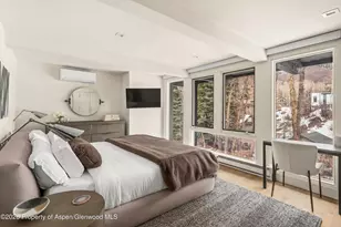 1039 E Cooper Ave, Aspen, CO 81611 - Photo 12