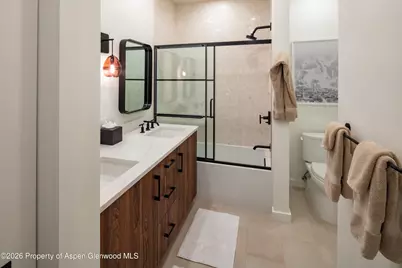 855 Gold Rivers Court #10d, Basalt, CO 81621 - Photo 10