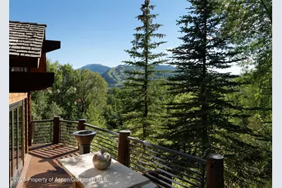 153 Herron Hollow Road, Aspen, CO 81611 - Photo 4