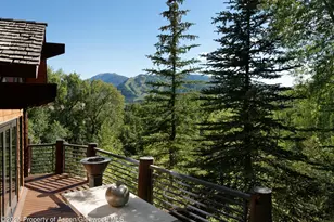 153 Herron Hollow Rd, Aspen, CO 81611 - Photo 4