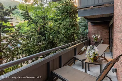 617 E Cooper Avenue #Unit 110, Aspen, CO 81611 - Photo 30