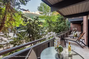 617 E Cooper Ave, Aspen, CO 81611 - Photo 28