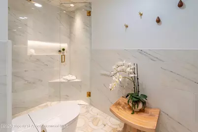 617 E Cooper Avenue #Unit 110, Aspen, CO 81611 - Photo 24