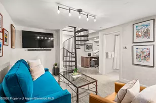 250 S Original St, Aspen, CO 81611 - Photo 8