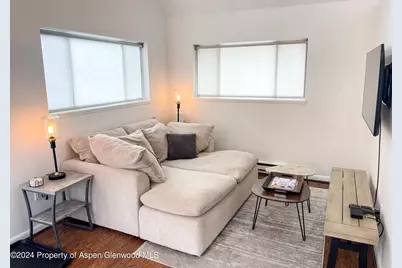 1195 E Cooper Avenue #Unit A, Aspen, CO 81611 - Photo 22