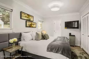 1195 E Cooper Ave, Aspen, CO 81611 - Photo 14