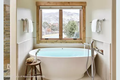 219 Overlook Ridge, Basalt, CO 81621 - Photo 10