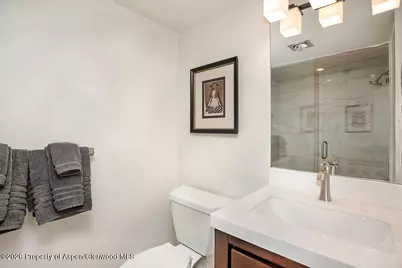 1039 E Cooper Avenue #41, Aspen, CO 81611 - Photo 6