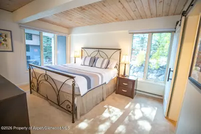 1039 E Cooper Avenue #41, Aspen, CO 81611 - Photo 4