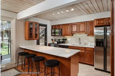 1039 E Cooper Avenue #41, Aspen, CO 81611 - Photo 2