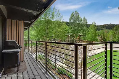 1039 E Cooper Avenue #41, Aspen, CO 81611 - Photo 10