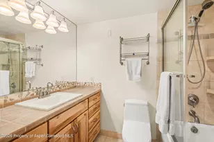 236 Vine St, Aspen, CO 81611 - Photo 14