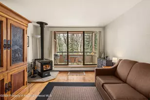 236 Vine St, Aspen, CO 81611 - Photo 4