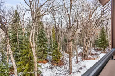 236 Vine Street, Aspen, CO 81611 - Photo 8