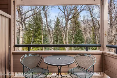 236 Vine Street, Aspen, CO 81611 - Photo 6