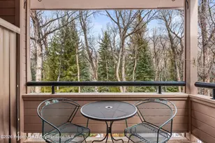 236 Vine St, Aspen, CO 81611 - Photo 6