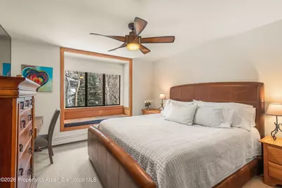 236 Vine Street, Aspen, CO 81611 - Photo 12