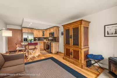 236 Vine Street, Aspen, CO 81611 - Photo 10