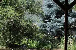 34 Ptarmigan Ln, Glenwood Springs, CO 81601 - Photo 8