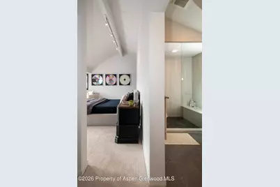450 Solar Way, Aspen, CO 81611 - Photo 14