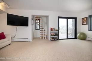 450 Solar Way, Aspen, CO 81611 - Photo 38