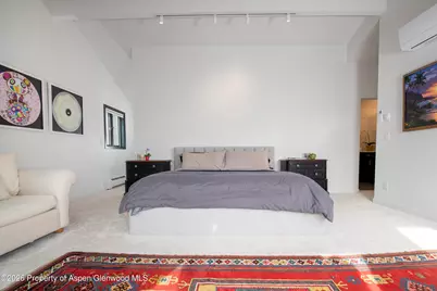 450 Solar Way, Aspen, CO 81611 - Photo 16