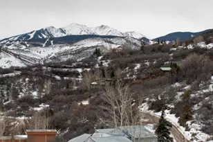 450 Solar Way, Aspen, CO 81611 - Photo 50