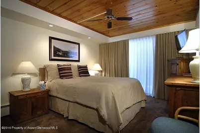 301 E Hyman Avenue #206 (Wks 20,35,36), Aspen, CO 81611 - Photo 10
