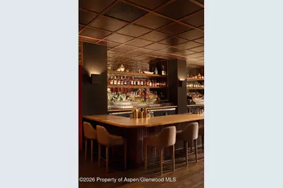 308 E Hopkins Avenue #Ll1, Aspen, CO 81611 - Photo 2