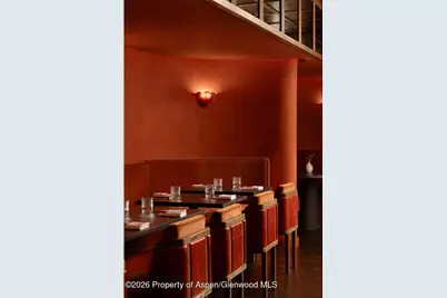 308 E Hopkins Avenue #Ll1, Aspen, CO 81611 - Photo 8