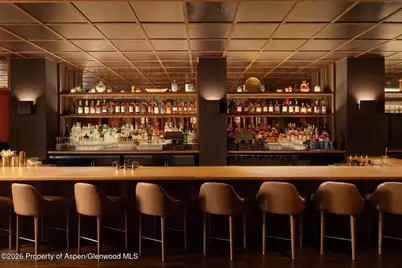 308 E Hopkins Avenue #Ll1, Aspen, CO 81611 - Photo 4