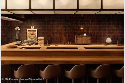 308 E Hopkins Avenue #Ll1, Aspen, CO 81611 - Photo 14