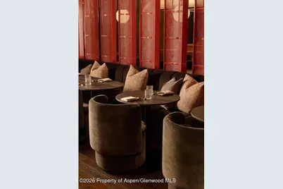 308 E Hopkins Avenue #Ll1, Aspen, CO 81611 - Photo 6