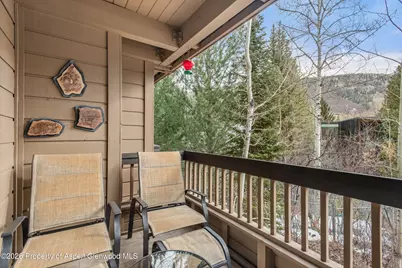610 S West End Street #G202, Aspen, CO 81611 - Photo 16