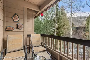 610 S West End St, Aspen, CO 81611 - Photo 16