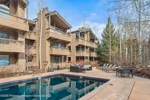 610 S West End St, Aspen, CO 81611 - Photo 14