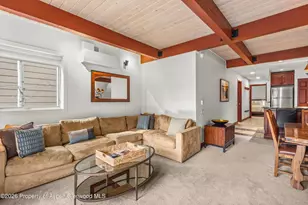 610 S West End St, Aspen, CO 81611 - Photo 20