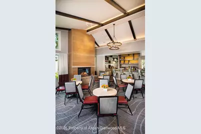 610 S West End Street #G202, Aspen, CO 81611 - Photo 10