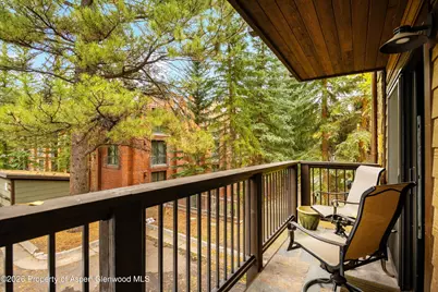 650 S Monarch Street #9, Aspen, CO 81611 - Photo 24