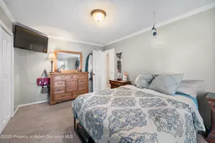 1617 W 7th St, Rifle, CO 81650 - Photo 12