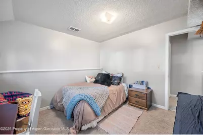 1617 W 7th Street, Rifle, CO 81650 - Photo 18